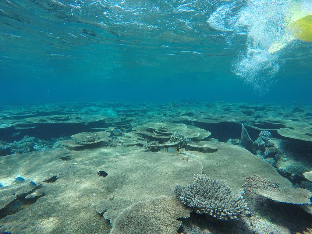 Holiday Haven Ukulhas Eksteriør billede